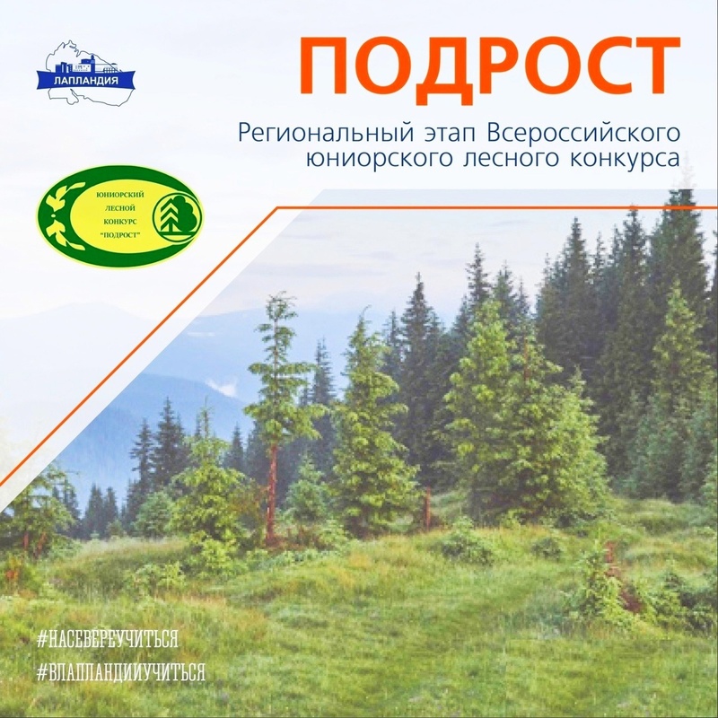 Подведены итоги регионального этапа Всероссийского юниорского лесного конкурса «Подрост»